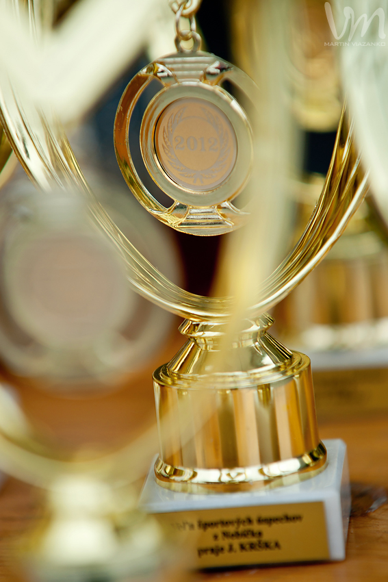 fia, GT1, slovakia, ring, moto, orechova, poton, world, championship