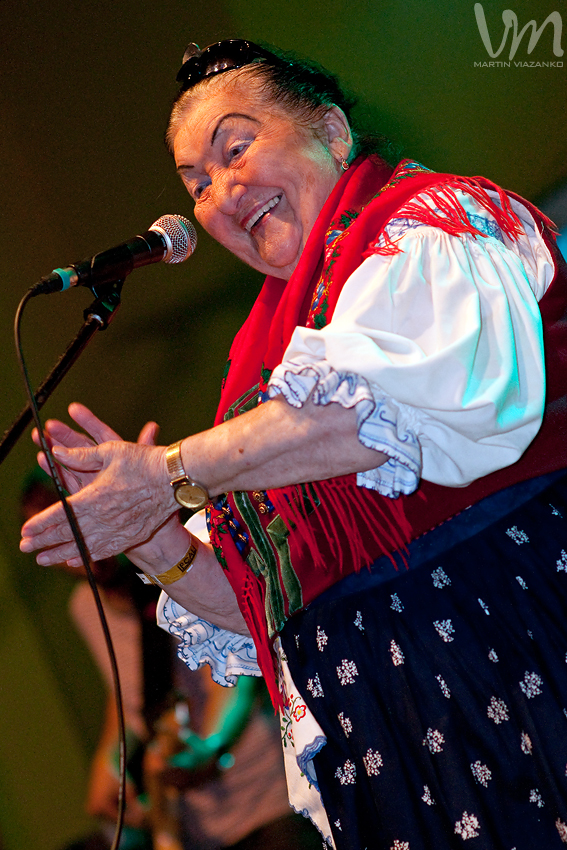 fest, dobre, jaslovske, bohunice, cali, kali, podolsky, hudba, bluegrass