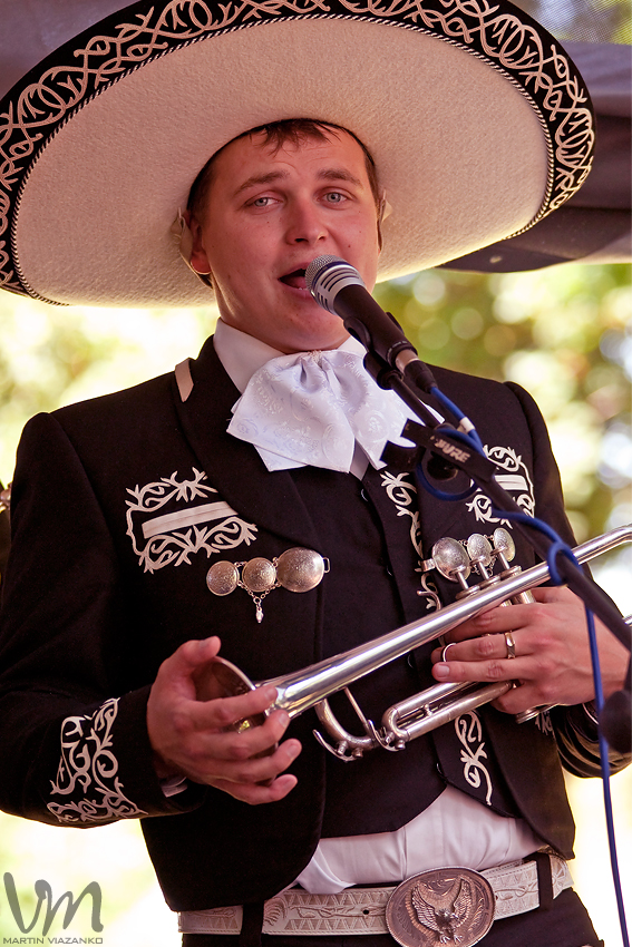 fest, dobre, jaslovske, bohunice, cali, kali, podolsky, hudba, bluegrass