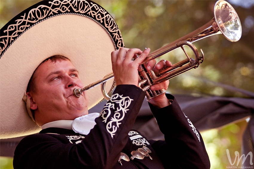 fest, dobre, jaslovske, bohunice, cali, kali, podolsky, hudba, bluegrass