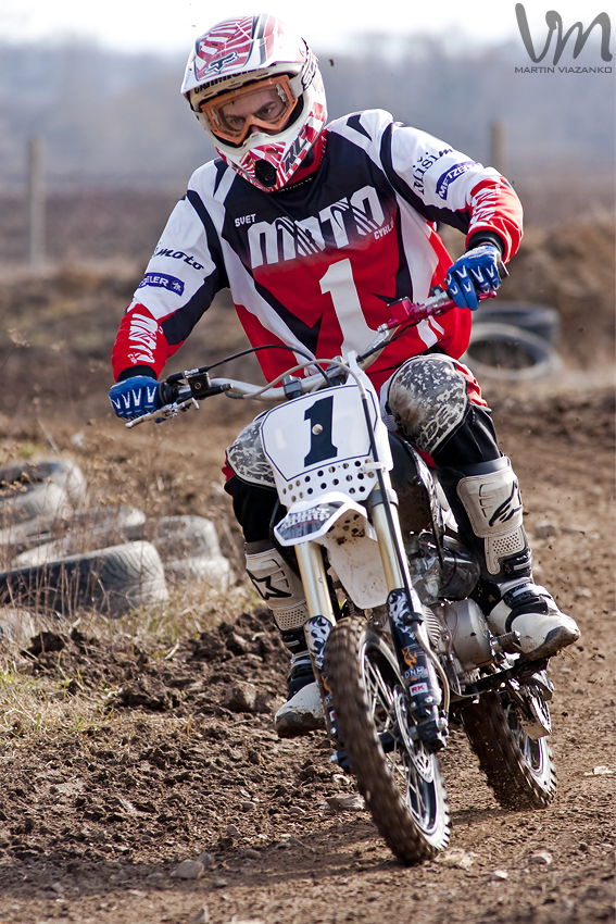 adam šipikal