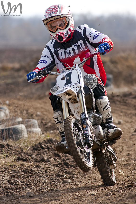 adam šipikal