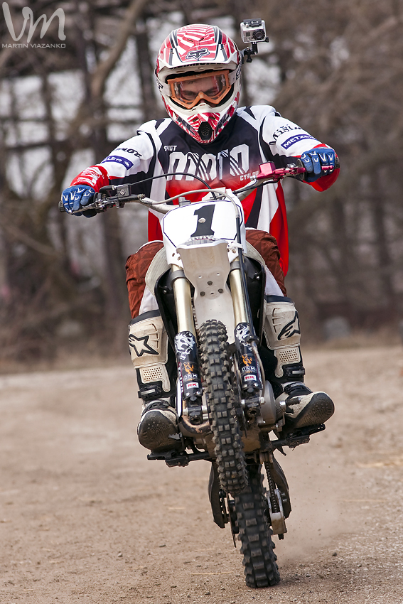 adam šipikal