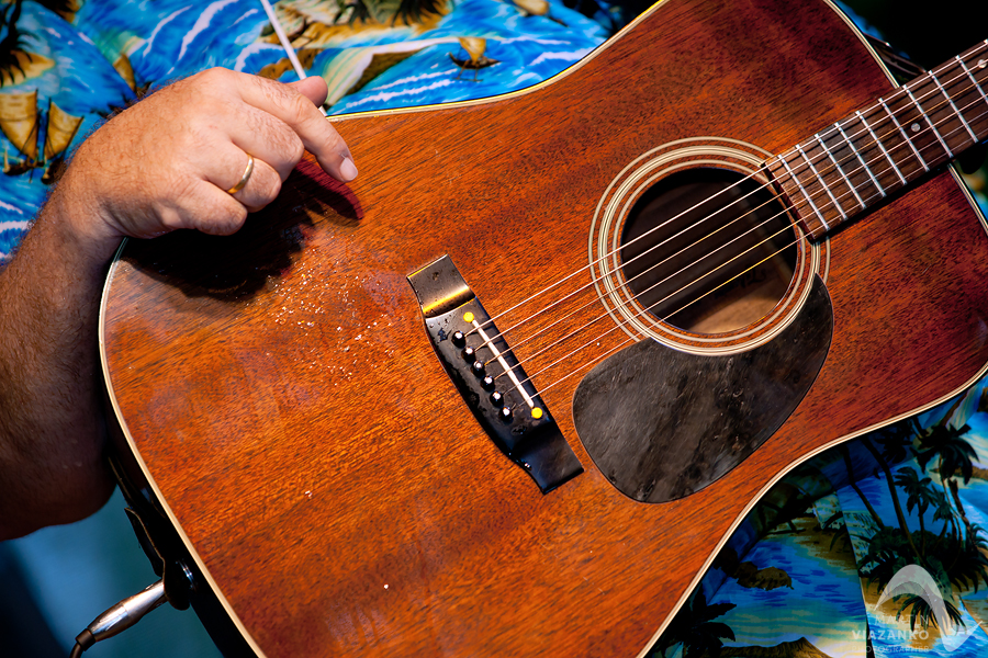 Willie, Jones, neznami, fest, dobre, bohunice, jaslovske, festival, bluegrass, country, folk, hudba