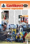 Gavlíkovci tentoraz naprázdno