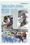 Šipikal kráľom pitbikov